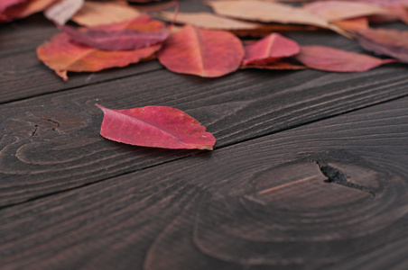 秋叶  红黑的木桌上