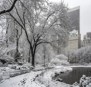 暴雪在曼哈顿中央公园纽约城