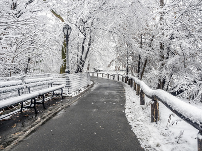 暴雪在曼哈顿中央公园纽约城