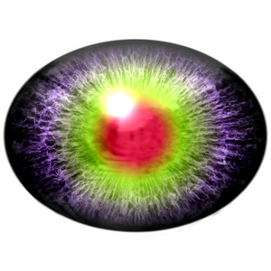 孤立的眼睛。猛禽紫色眼睛与大瞳孔和明亮的红色视网膜的背景。黑暗的虹膜