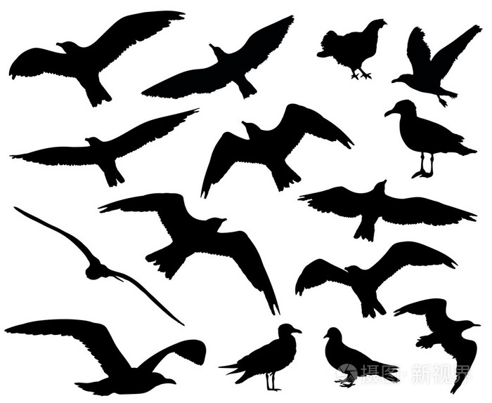 在白色背景上的鸟剪影 1 15 中设置.矢量图