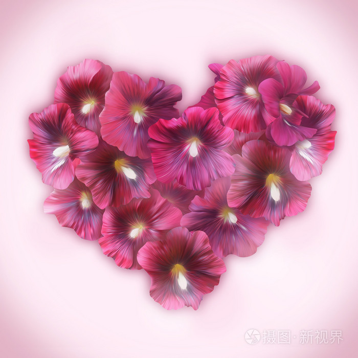 锦葵属植物花的心为情人节的。爱标志
