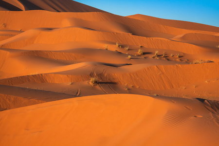 在撒哈拉沙漠中，梅尔祖加，摩洛哥沙丘