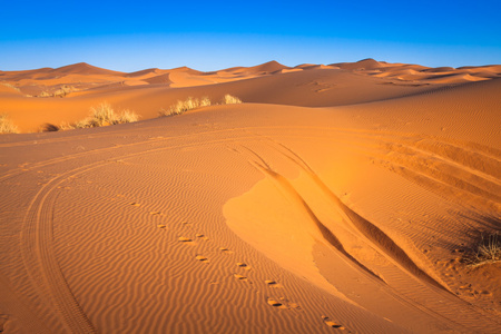 在撒哈拉沙漠中，梅尔祖加，摩洛哥沙丘