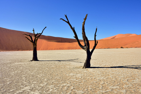 Deadvlei，苏斯。纳米比亚