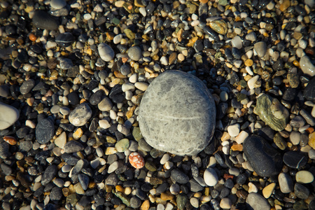 在海岸上的天然卵石的背景。选择性的焦点。自