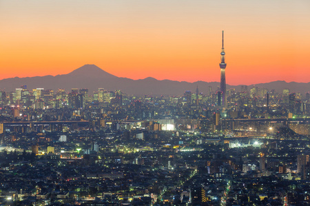 东京市和山富士