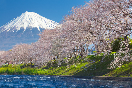 富士山景