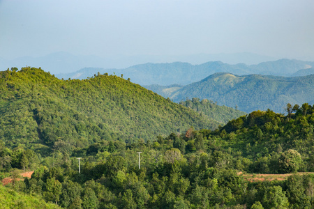 天空 森林和山