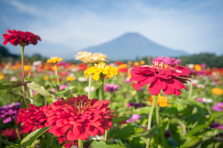 富士山景