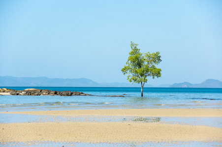 孔芒滩