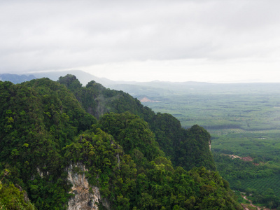 绿色山风景