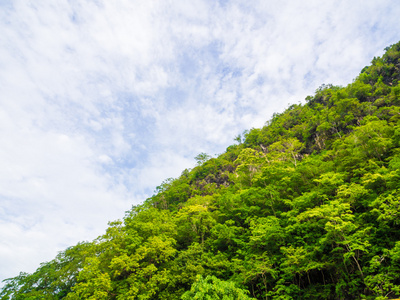 绿色山风景