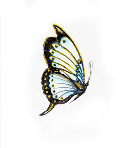 蝴蝶混合中白色背景图