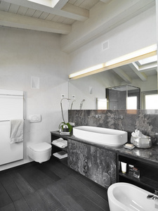 现代化的浴室的内部视图