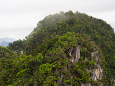 绿色山风景