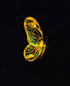 浅黄色的蒂基色蝴蝶在黑色的背景上。