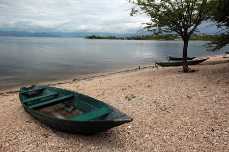 Skadarsko 湖湖