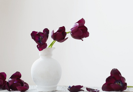 黑郁金香插在花瓶里图片