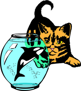 小猫看起来在水族馆,游的鲸鱼照片