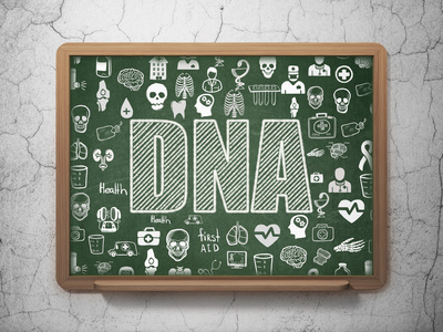 医学概念学校董事会背景上的DNA