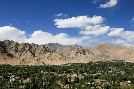 拉达克，印度 Leh 绿色山谷城市景观