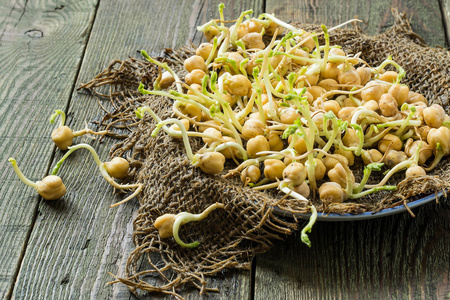 发芽的鹰嘴豆烹调健康食物