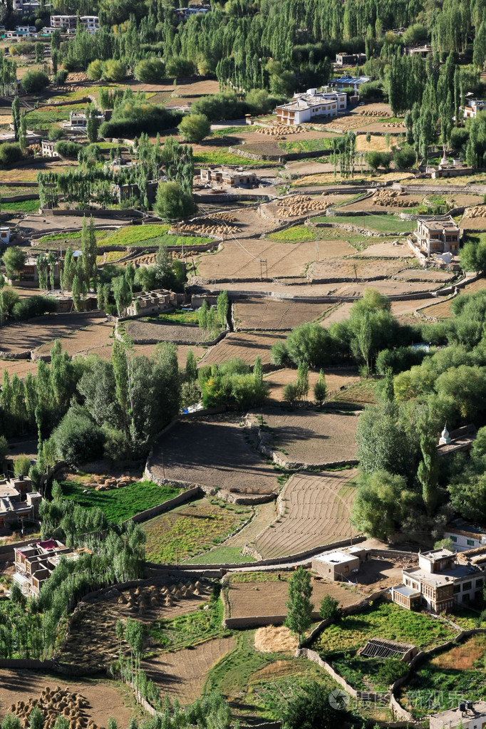 leh 市绿色山谷景观,拉达克印度