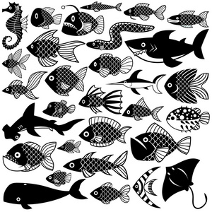 不同的鱼隔离在白色背景上掀起图片