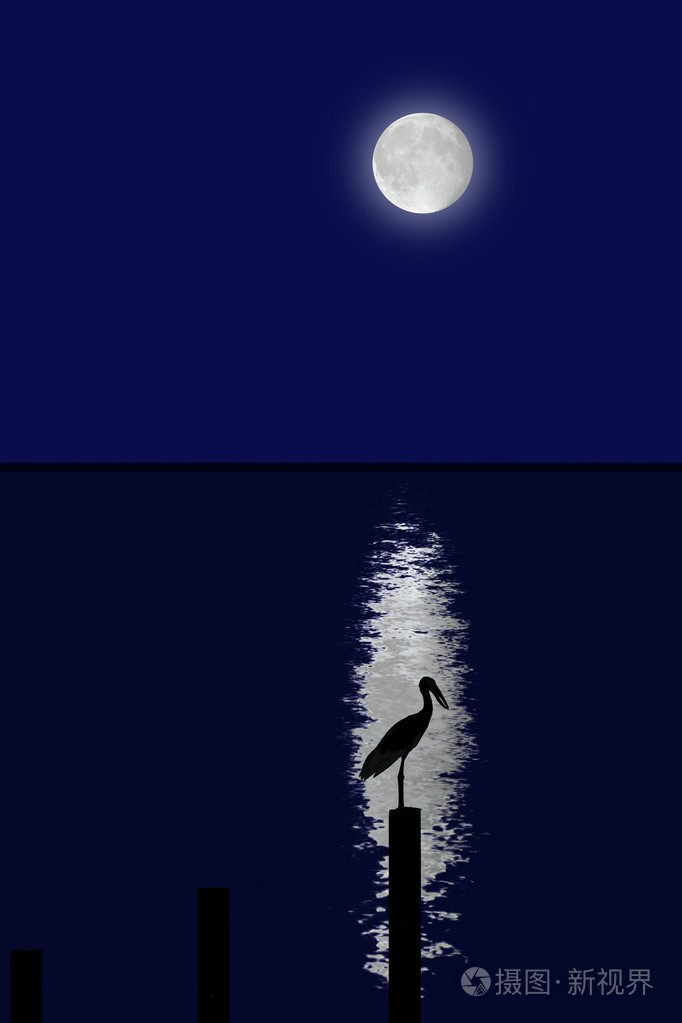 在海的月亮阴影