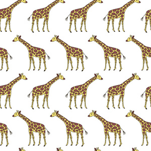 模式与可爱的长颈鹿