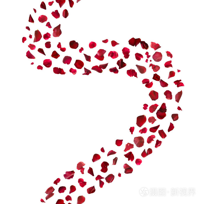 红玫瑰花瓣曲线