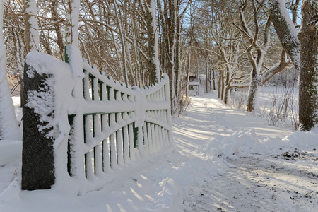 一个冬天的日子打开大门和一条雪边的树木小巷图片
