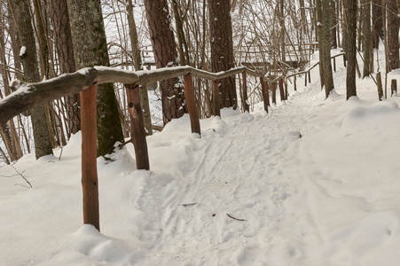 被白雪覆盖的旅游楼梯树林