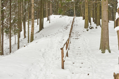 被白雪覆盖的旅游楼梯树林