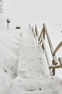 被白雪覆盖的旅游楼梯树林