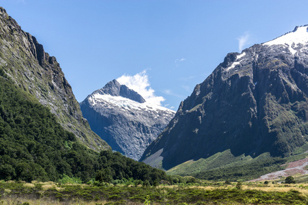 hollyford 谷景观