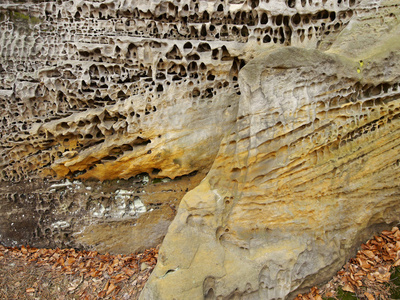 结构的砂岩峭壁详细信息