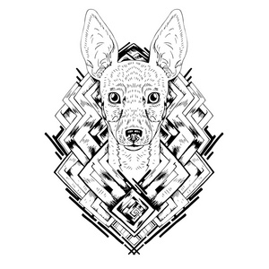 黑色和白色动物狗头部 抽象艺术 纹身 涂鸦 cketch照片