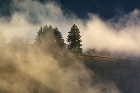 雾天和阳光明媚的一天，在野生的特兰西瓦尼亚山。