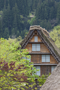 传统和历史日本村町白川方明