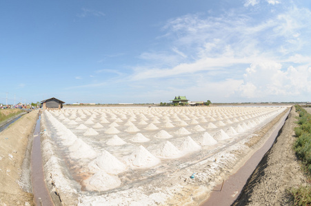 海盐中盐农场收割，泰国的大堆