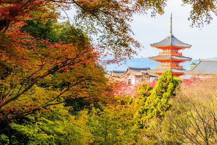 金秋时节清水德拉寺