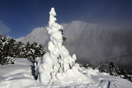 冷冻的松树山