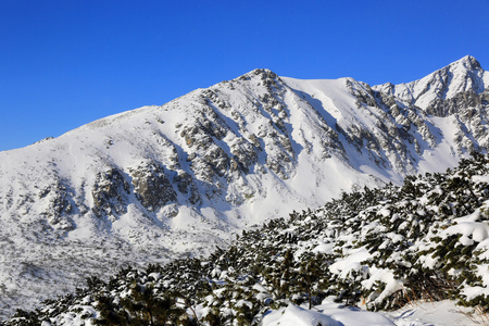 冬季景观在山中