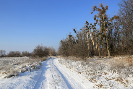 冬季道路在草原上