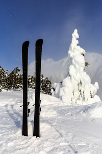 高山滑雪在雪上