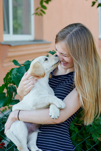 年轻女子在拉布拉多幼犬的手上捧着的肖像