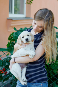 年轻女子在拉布拉多幼犬的手上捧着的肖像