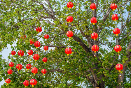 中国的节日，在树上的红色灯